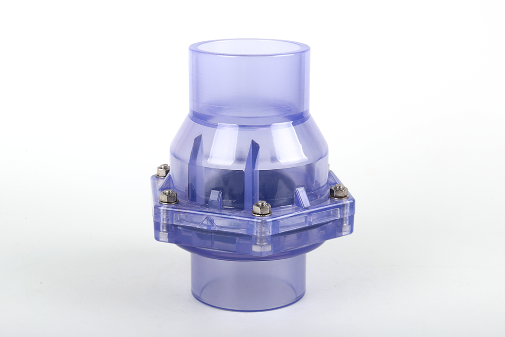 港闸透明翻板式止回阀